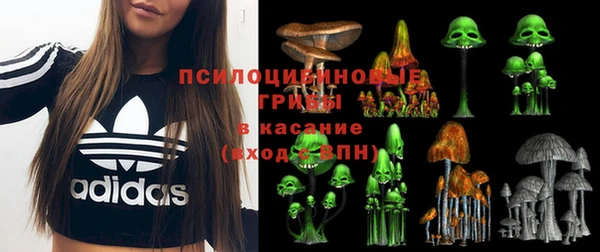 а пвп мука Гусев