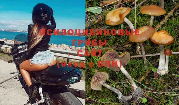 MESCALINE Гусь-Хрустальный