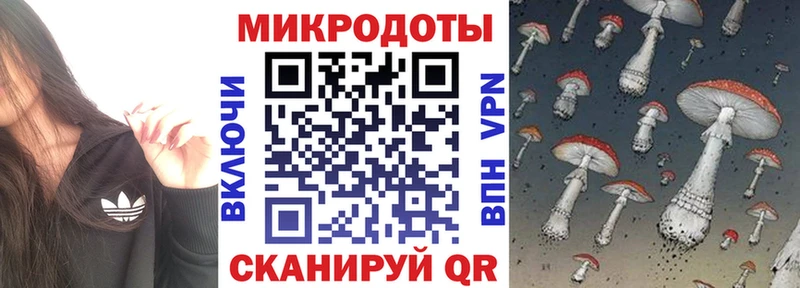 Купить закладки  Истра  Галлюциногенные грибы ЛСД 